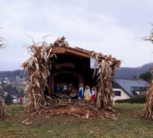 Krippe