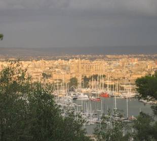 Blick auf Palma`s Altstadt vom Castell