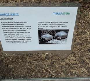 Tiergarten Ulm