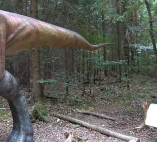 Dinosaurier Museum Altmühltal