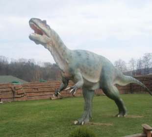 Dinozaury