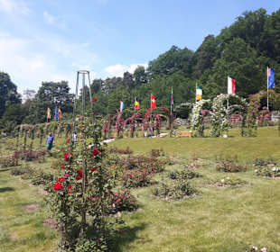 Rosenneuheitengarten
