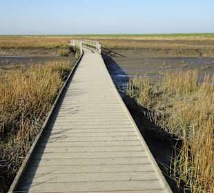 Auf dem Bohlenweg im Langwarder Groden