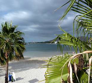 Bucht von Alcudia 