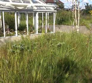 Schmuckhof Botanischer Garten