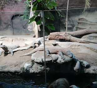 Zoologischer Garten Prag