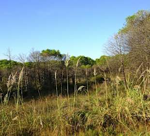 Naturschutzgebiet Gegend