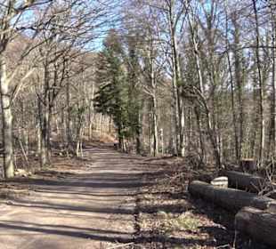Wandertour Eppenzill