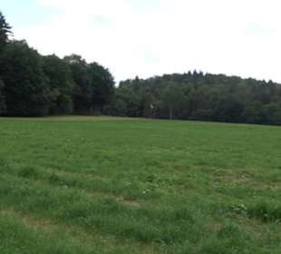 Wanderung Froschteich-Tour
