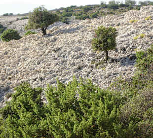 Landschaft am Kamenjak