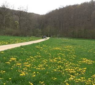 Eiszeitpfad - Burgfelsenpfad