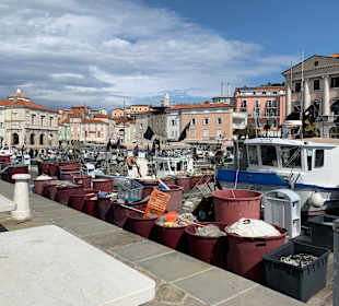Hafen Piran