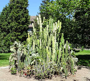 Im Schlosspark