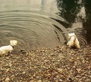 Auch die fanden es toll