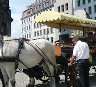 Auf zur Kutschfahrt!