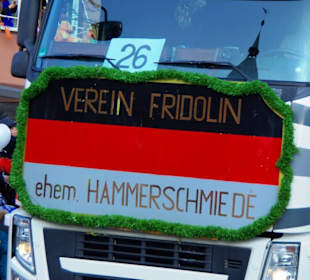 Nürnberger Faschingsumzug 2013
