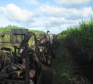 Ausflug Crazy Wheels