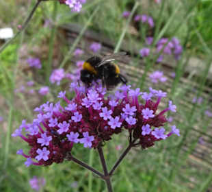 Eindrücke vom Rundgang durch den Park der Gärten