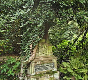 Кладбище Ольсдорф, Гамбург, 16 сентября 2013 года