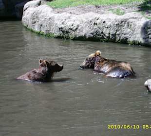 Tierpark Hagenbeck