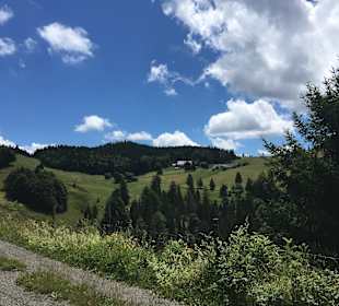 Wandern Todtnauberg