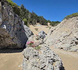 Tsambika Beach 