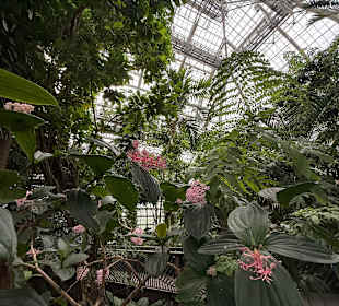 Botanischer Garten in Washington 