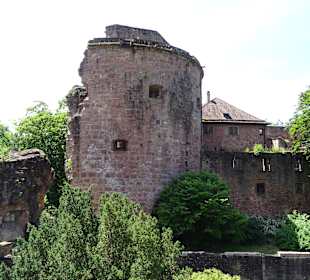 Schloss Heidelberg und Umgebung