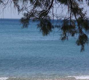 Impressionen vom Strand