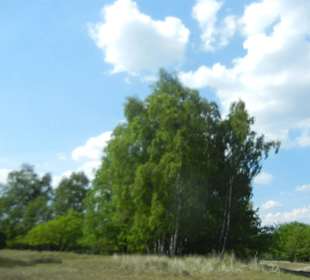 Naturschutzgebiet Boberger Niederung
