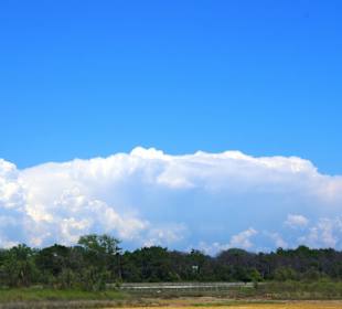 Naturschutzgebiet dei Pini