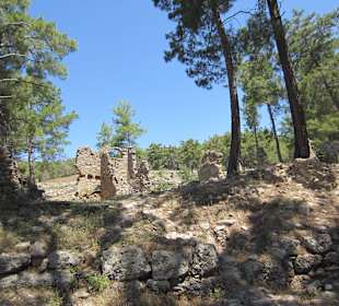 Antike Stadt Seleukea