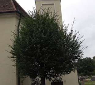 Friedhof Neresheim
