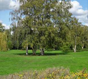 Eindrücke aus dem Kurpark Bad Bederkesa