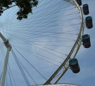 Nur Fliegen ist schöner!