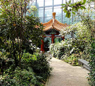 Blick auf den Tee-Tempel