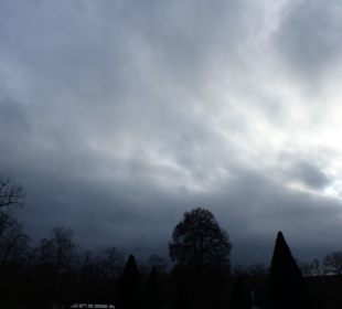 Hohe Bäume im Südgarten