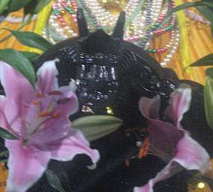 Blumen in der Tempelanlage