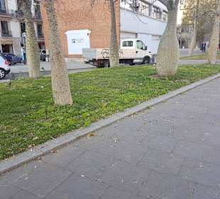 La Barceloneta