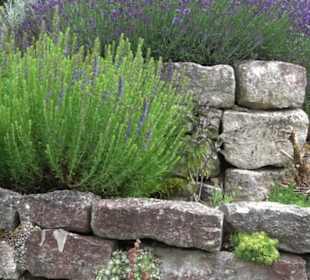 ALB-GOLD Naturgarten