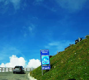 Die tollen Kurvenfahrten