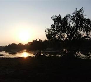 Morgendliche Idylle im Yala Park - Geführte Touren Astrid To