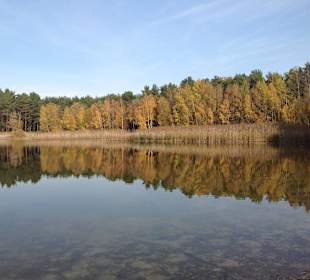 Ausflug: der See in Grünefeld