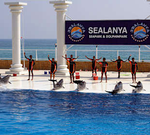 Delfinshow im Sealanya Delfinpark