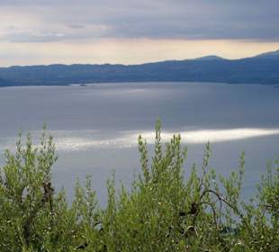 Blick auf den See