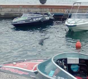 Bootsverleih Limone, ohne Führerschein 40 PS