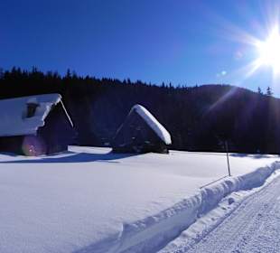 Skifahren