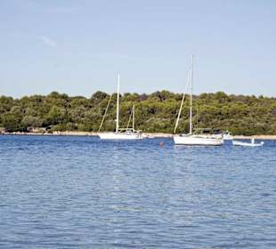 Bojen Baroni für Segler bis 17 Tonnen