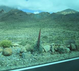 Teide Nationalpark
