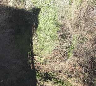 Käpfle Bronnweiler